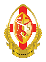 Logo DSS